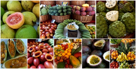 Fruit Madeira 